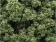 Woodland Scenics Foglie e 64 zirconi, 18 cm, Colore: Verde Chiaro