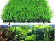 Onsinic L'acqua Artificiale acquatica Green Grass Piante Prato Acquario Fish Tank Paesaggi...