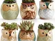 SUN-E 6.35 cm Gufo vaso ceramica smaltata Base Set Succulente Vaso per piante Cactus Vaso...