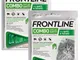 Front Line Combo - Pack 2 Pipette, Antiparassitario per Gatti, Gattini e Furetti di Lunga...