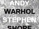 Factory: Andy Warhol [Lingua inglese]