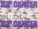Stkr Commander Two (2) Pancreatic Cancer Awareness stickers viola Foxtrot Oscar cancro = F...