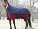 Reitsport Amesbichler Coperta per cavalli outdoor a collo alto Tyrex 1200 denari, fodera i...