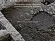 Ritmi di transizione 2. Dal Garampo a Foro Annonario: ricerche archeologiche 2009-2013