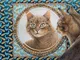 Ivory Cats by Lesley Anne Ivory 2022 Calendar: Original Flame Tree Publishing-Kalender [Ka...