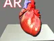 AR Human heart – A glimpse