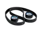 SKF Kit cinghia di distribuzione OPEL,RENAULT,FIAT VKMA 02383 4740847,0816E5,081832 Kit ci...