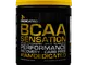 BCAA Sensation -  - Mango - 1 Unità (345 Grammi)