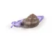Appendiabiti Snail Slow - / Escargot - Resina di  - Multicolore - Materiale plastico