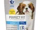 Perfect Fit Junior Small Dogs (