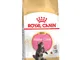 Royal Canin Maine Coon Kitten - 4 kg