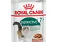 Royal Canin Instinctive +7 in Salsa - 12 x 85 g