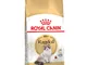 Royal Canin Ragdoll Adult - 400 g