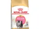 Royal Canin Persian Kitten - 2 kg
