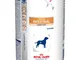 Royal Canin Gastro Intestinal Low Fat Veterinary Diet - 12 x 410 g