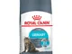 Royal Canin Urinary Care - 4 kg