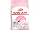 Royal Canin Mother & Babycat - 2 x 10 kg