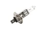 BOSCH Lampade Pure Light BL 1 987 301 005 Lampadina, Faro di profondità VW,SEAT,RENAULT,Go...