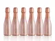 Birilli 6 bottiglie di spumante rosé (20cl cad.)