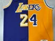 tchell Ness NBA Los Angeles Lake James 6 Bianco Maglia Storica Basket