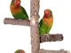 Bird Perch Nature Wood Stand Parco giochi per uccelli Kintor per accessori per gabbie per...