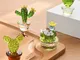 Mini Cactus Art Glass Soffiato a mano Figurine in vetro da collezione Decorazione per la c...