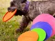 Frisbee per cani Cane da addestramento con frange dorate Pratica per cani Giocattoli per a...