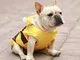 Pet Raincoat Impermeabile Anti-sporco Cane Impermeabile Little Bee Clothes Style,ALH245162...