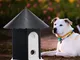 Pet Dog Outdoor Bark Control Suono ad ultrasuoni Stop Barking Device Impermeabile 50ft Son...