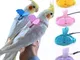 Guinzaglio regolabile per pappagalli per animali domestici Corda per addestramento di volo...