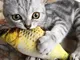 Giocattoli per gatti Erba per gatti Catnip Simulazione Cuscino per pesci Gattino Gatto che...