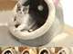 Sweet Cat Bed Warm Pet Basket Accogliente Gattino Lettino Cuscino Gatto Casa Tenda Molto M...