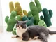 Cactus Catnip Cat Toy Pet Peluche da masticare Giocattoli per cani Digrignare i denti Mast...