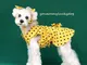 Vestiti per cani estate sottile piccolo cane carino principessa vestito Teddy Schnauzer Co...