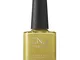  Vinylux Nail Varnish - Mind over Matcha