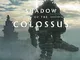 Sony Interactive Entertainment Shadow Of The Colossus