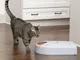 PetSafe Dispensatore di 5 Pasti per Animali Eatwell con Timer Grigio