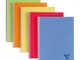 Clairefontaine Quaderni Linicolor A4 90 Fogli a Quadretti 5x5 mm 5 pz