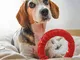 Ferplast Giocattolo da Masticare per Cani Smile Large 20x18x4 cm Rosso