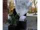 Nature Copertura Antigelo per Piante in Pile 30 g/m² Bianco 2x10 m