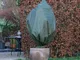 Nature Coperture Invernali in Pile 2 pz 50 g/m² 150x75 cm Verde