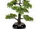 Emerald Ficus Artificiale Mini Bonsai 47 cm 420006 Verde