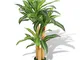 vidaXL Dracena Pianta Artificiale con Vaso 100 cm Verde