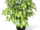 vidaXL Ficus Nano Artificiale con Vaso 60 cm