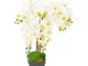 vidaXL Orchidea Artificiale con Vaso Bianca 60 cm