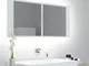 vidaXL Specchio da Bagno con LED Bianco 100x12x45 cm in Acrilico