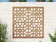 vidaXL Decorazione Muro da Giardino 55x55 cm Moresco Acciaio Corten