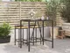 vidaXL Tavolo da Bar con Piano in Vetro Nero 110x70x110 cm Polyrattan