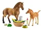 HORSE CLUB 42432 set da gioco