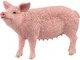 Farm World Pig